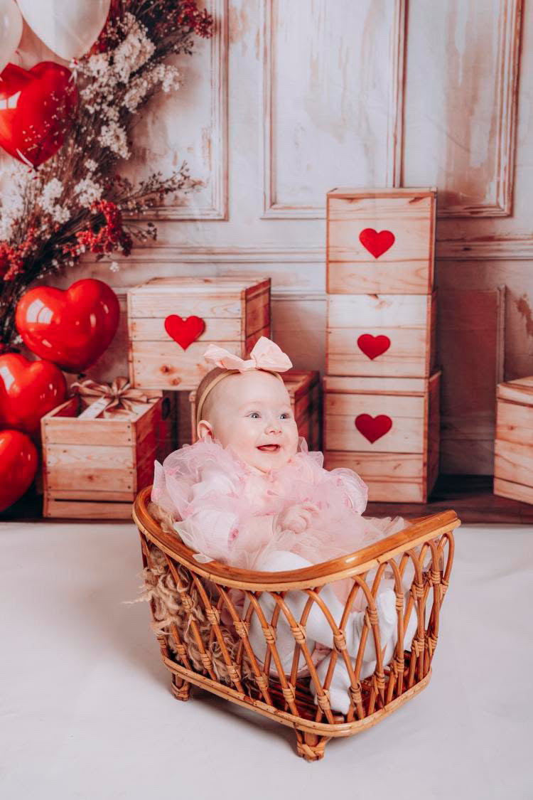 Tiny Valentine Tulle Dress & Bow